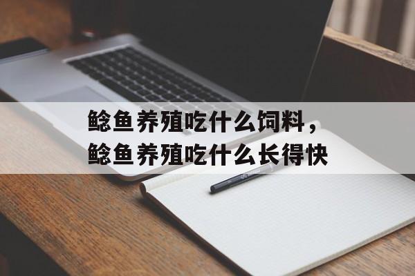 鲶鱼养殖吃什么饲料，鲶鱼养殖吃什么长得快-第1张图片-