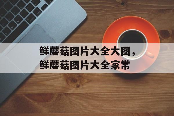 鲜蘑菇图片大全大图，鲜蘑菇图片大全家常-第1张图片-