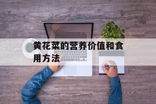黄花菜的营养价值和食用方法-第1张图片-