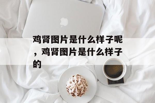 鸡肾图片是什么样子呢，鸡肾图片是什么样子的-第1张图片-