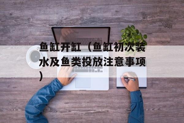 鱼缸开缸（鱼缸初次装水及鱼类投放注意事项）-第1张图片-