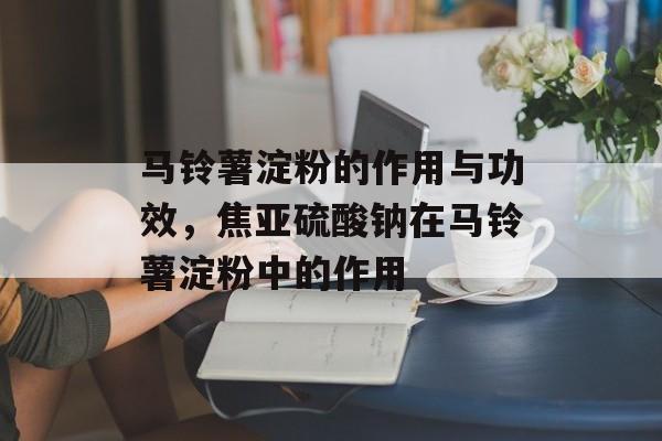 马铃薯淀粉的作用与功效，焦亚硫酸钠在马铃薯淀粉中的作用-第1张图片-