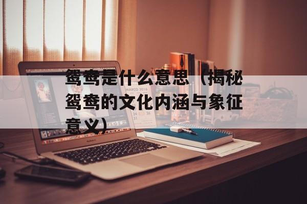鸳鸯是什么意思（揭秘鸳鸯的文化内涵与象征意义）-第1张图片-