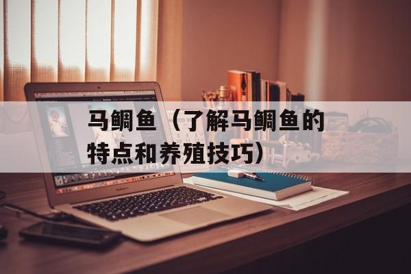 马鲷鱼（了解马鲷鱼的特点和养殖技巧）-第1张图片-