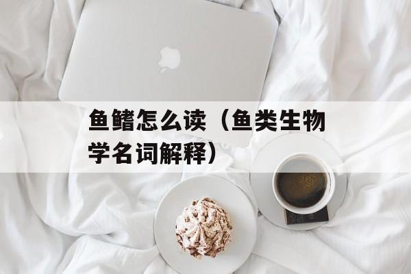 鱼鳍怎么读（鱼类生物学名词解释）-第1张图片-