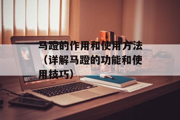 马蹬的作用和使用方法（详解马蹬的功能和使用技巧）-第1张图片-