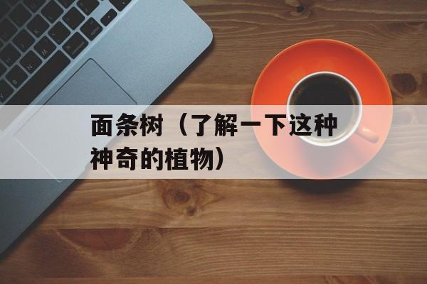 面条树（了解一下这种神奇的植物）-第1张图片-