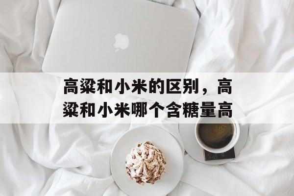 高粱和小米的区别，高粱和小米哪个含糖量高-第1张图片-