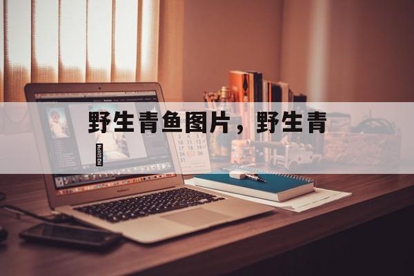 野生青鱼图片，野生青鳉-第1张图片-