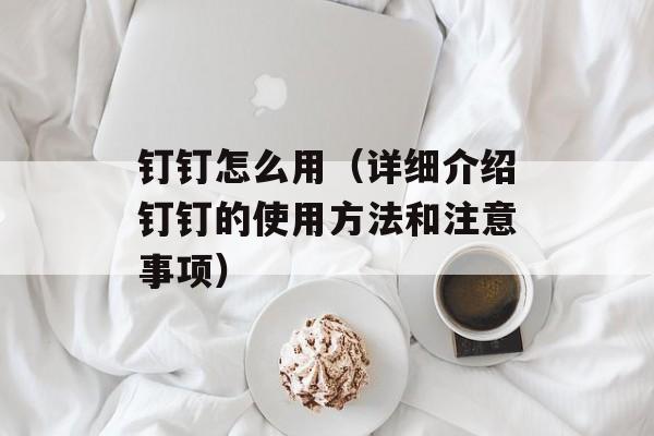 钉钉怎么用（详细介绍钉钉的使用方法和注意事项）-第1张图片-