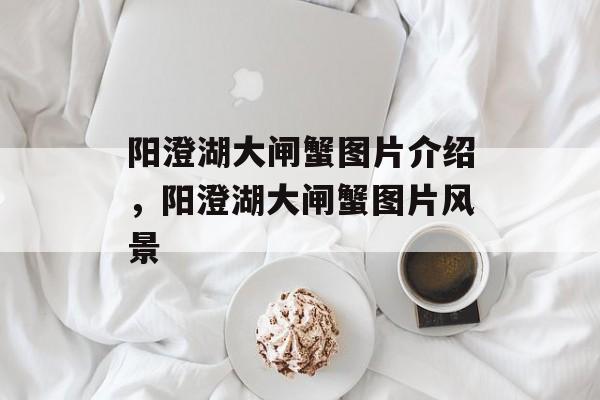 阳澄湖大闸蟹图片介绍，阳澄湖大闸蟹图片风景-第1张图片-