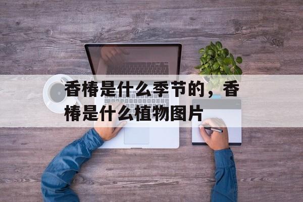 香椿是什么季节的，香椿是什么植物图片-第1张图片-