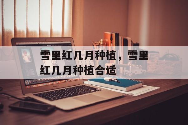 雪里红几月种植，雪里红几月种植合适-第1张图片-