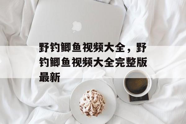 野钓鲫鱼视频大全，野钓鲫鱼视频大全完整版最新-第1张图片-