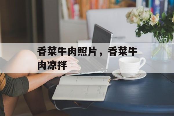 香菜牛肉照片，香菜牛肉凉拌-第1张图片-