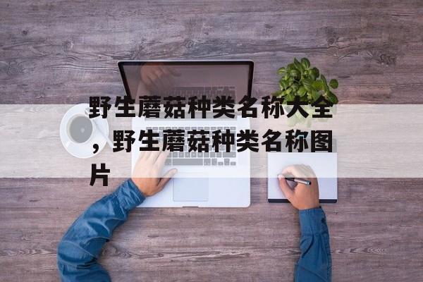 野生蘑菇种类名称大全，野生蘑菇种类名称图片-第1张图片-