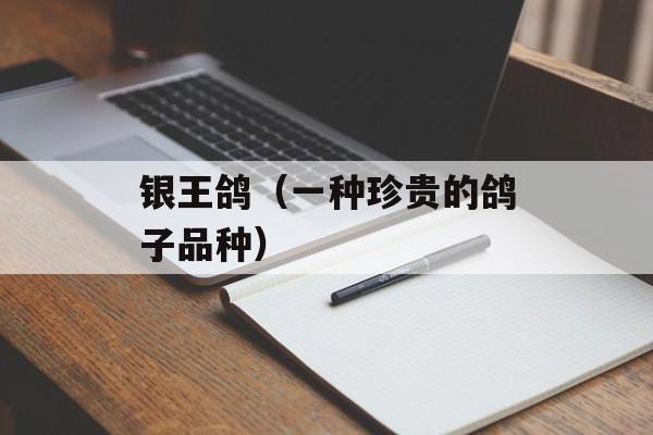 银王鸽（一种珍贵的鸽子品种）-第1张图片-