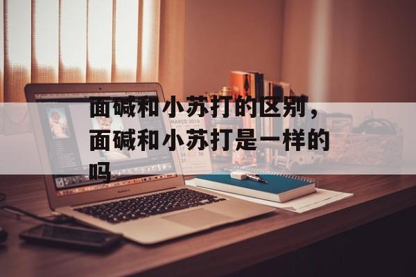 面碱和小苏打的区别，面碱和小苏打是一样的吗-第1张图片-