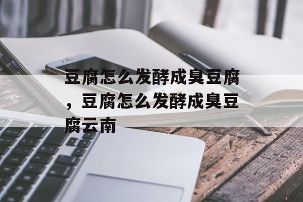 豆腐怎么发酵成臭豆腐，豆腐怎么发酵成臭豆腐云南-第1张图片-