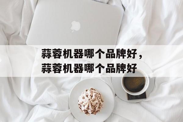 蒜蓉机器哪个品牌好，蒜蓉机器哪个品牌好-第1张图片-