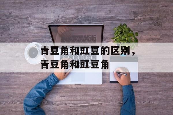 青豆角和豇豆的区别，青豆角和豇豆角-第1张图片-