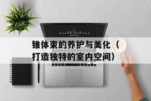 锥体束的养护与美化（打造独特的室内空间）-第1张图片-
