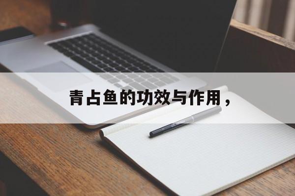 青占鱼的功效与作用，-第1张图片-