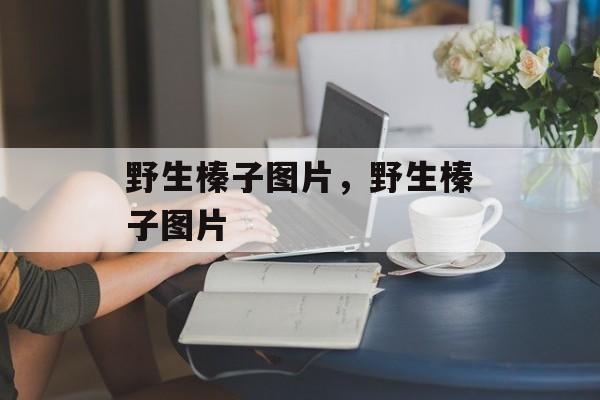 野生榛子图片，野生榛子图片-第1张图片-