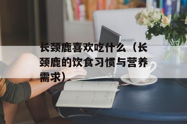 长颈鹿喜欢吃什么（长颈鹿的饮食习惯与营养需求）-第1张图片-
