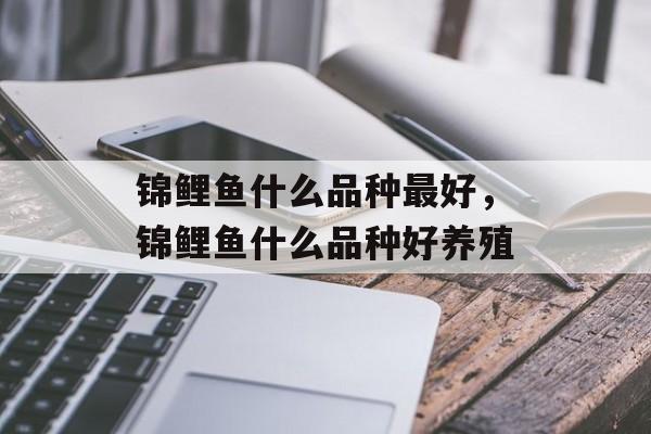 锦鲤鱼什么品种最好，锦鲤鱼什么品种好养殖-第1张图片-