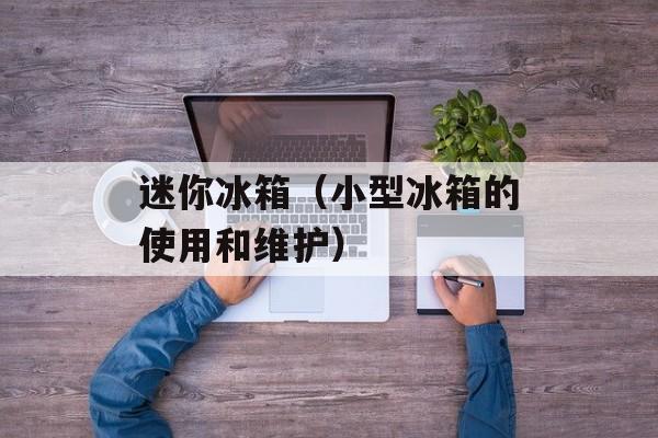 迷你冰箱（小型冰箱的使用和维护）-第1张图片-