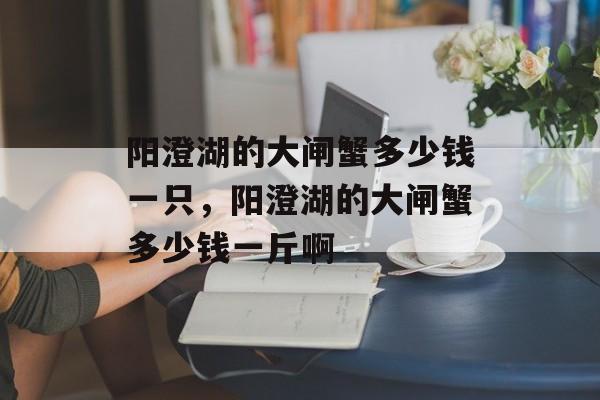 阳澄湖的大闸蟹多少钱一只，阳澄湖的大闸蟹多少钱一斤啊-第1张图片-