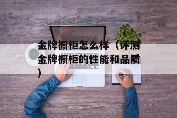 金牌橱柜怎么样（评测金牌橱柜的性能和品质）-第1张图片-
