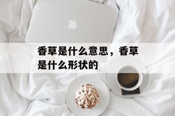 香草是什么意思，香草是什么形状的-第1张图片-