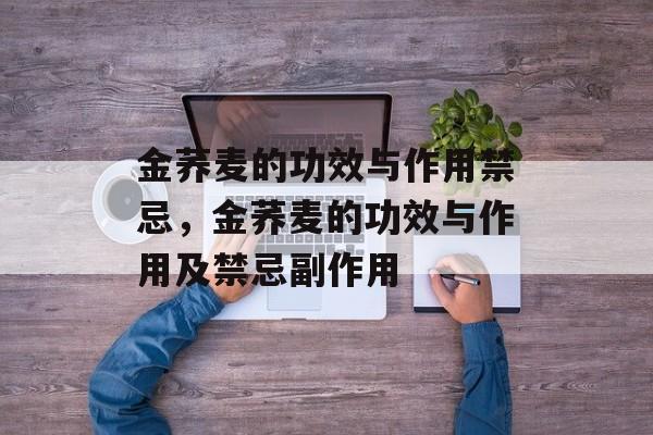 金荞麦的功效与作用禁忌，金荞麦的功效与作用及禁忌副作用-第1张图片-