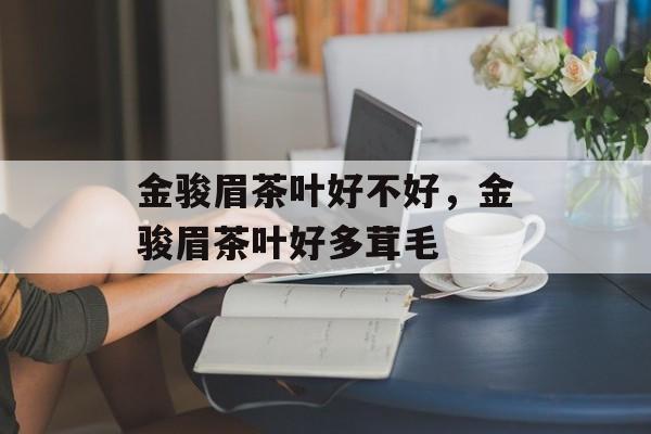 金骏眉茶叶好不好，金骏眉茶叶好多茸毛-第1张图片-
