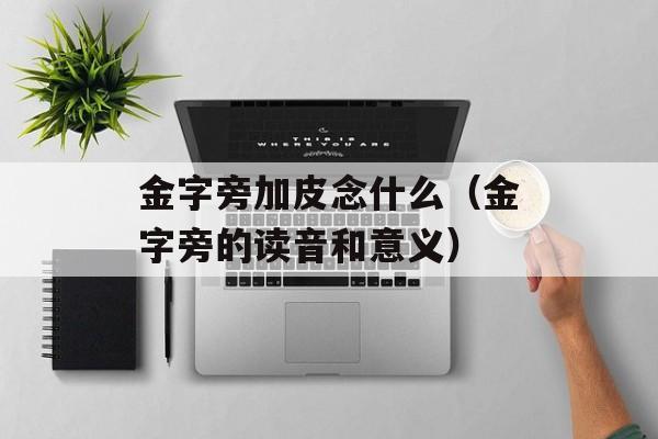 金字旁加皮念什么（金字旁的读音和意义）-第1张图片-