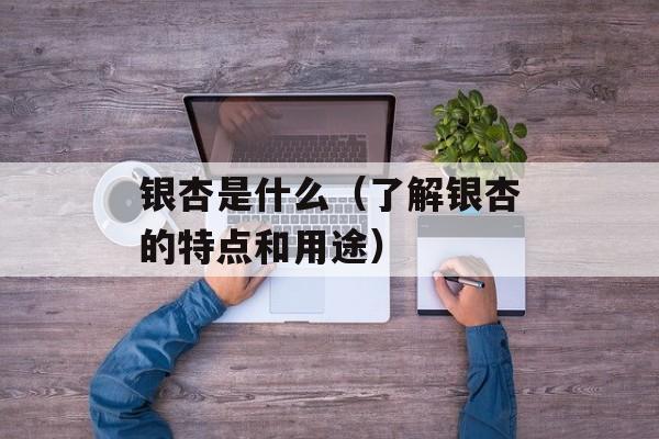 银杏是什么（了解银杏的特点和用途）-第1张图片-