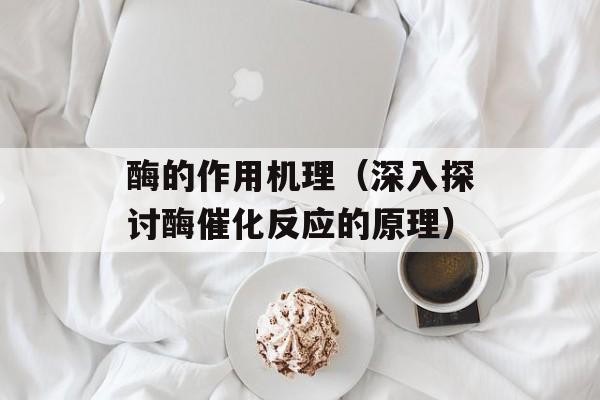 酶的作用机理（深入探讨酶催化反应的原理）-第1张图片-