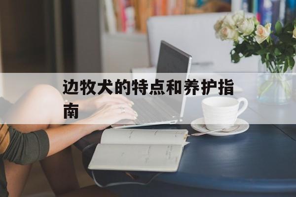 边牧犬的特点和养护指南-第1张图片-