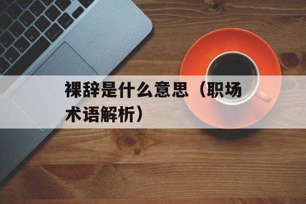 裸辞是什么意思（职场术语解析）-第1张图片-