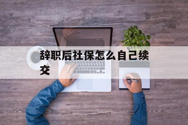辞职后社保怎么自己续交-第1张图片-