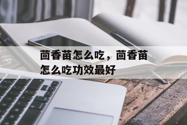 茴香苗怎么吃，茴香苗怎么吃功效最好-第1张图片-