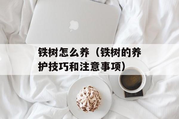 铁树怎么养（铁树的养护技巧和注意事项）-第1张图片-