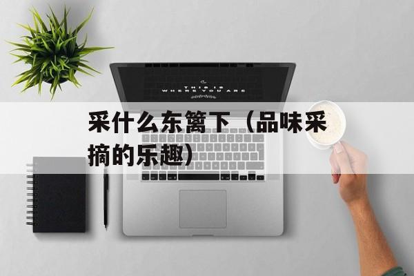 采什么东篱下（品味采摘的乐趣）-第1张图片-