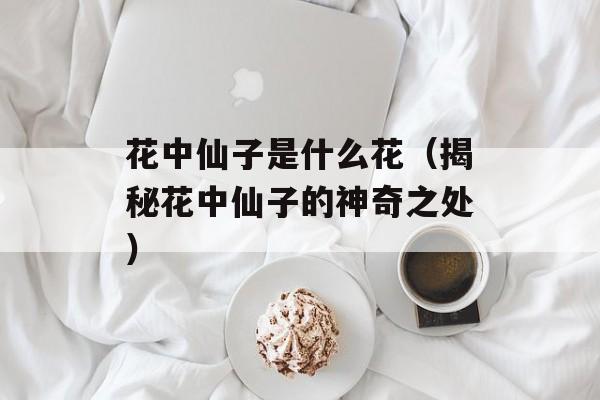 花中仙子是什么花（揭秘花中仙子的神奇之处）-第1张图片-