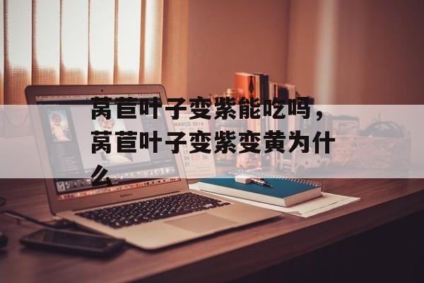 莴苣叶子变紫能吃吗，莴苣叶子变紫变黄为什么-第1张图片-