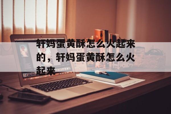 轩妈蛋黄酥怎么火起来的，轩妈蛋黄酥怎么火起来-第1张图片-
