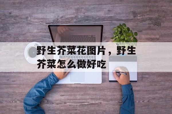 野生芥菜花图片，野生芥菜怎么做好吃-第1张图片-