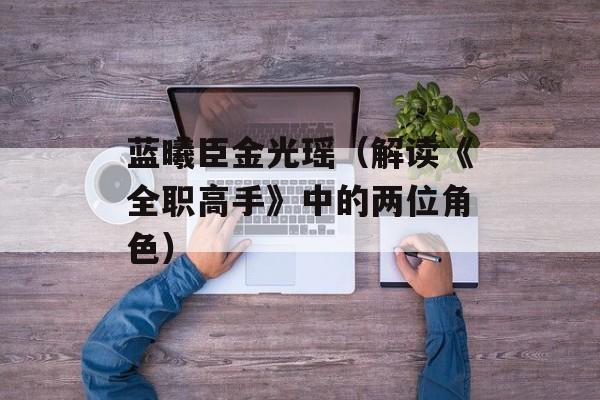 蓝曦臣金光瑶（解读《全职高手》中的两位角色）-第1张图片-